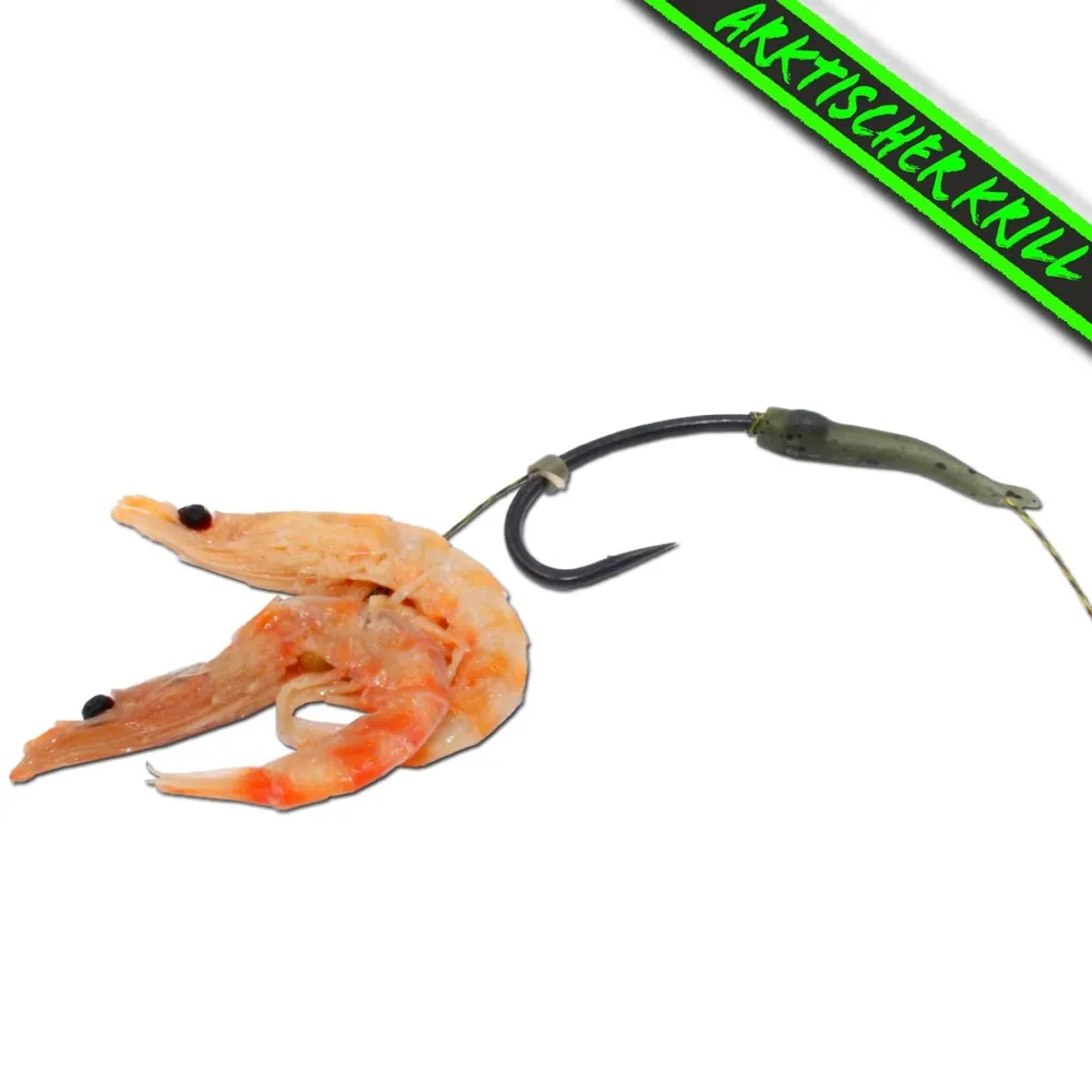 Antaktický Krill